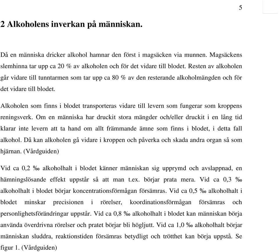 Alkoholen som finns i blodet transporteras vidare till levern som fungerar som kroppens reningsverk.