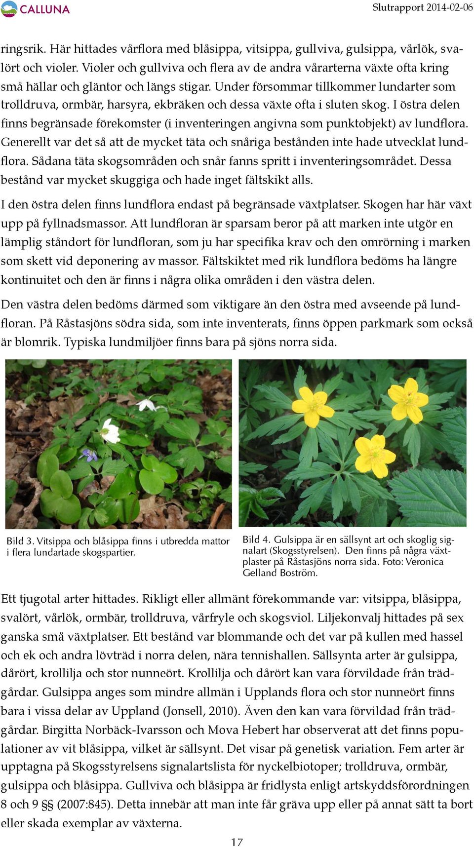 Under försommar tillkommer lundarter som trolldruva, ormbär, harsyra, ekbräken och dessa växte ofta i sluten skog.