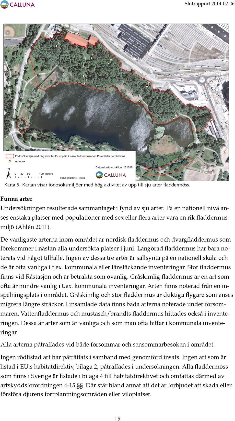 De vanligaste arterna inom området är nordisk fladdermus och dvärgfladdermus som förekommer i nästan alla undersökta platser i juni. Långörad fladdermus har bara noterats vid något tillfälle.