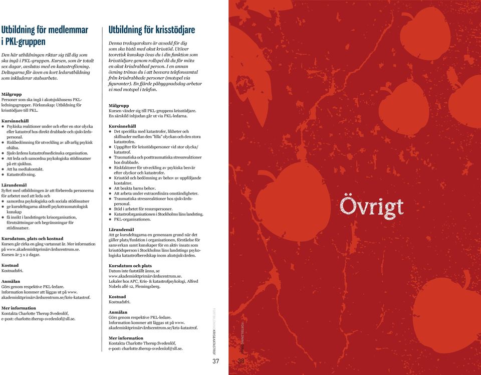 Psykiska reaktioner under och efter en stor olycka eller katastrof hos direkt drabbade och sjukvårdspersonal. Riskbedömning för utveckling av allvarlig psykisk ohälsa.