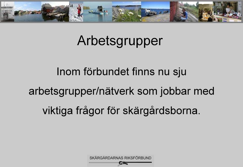 arbetsgrupper/nätverk som