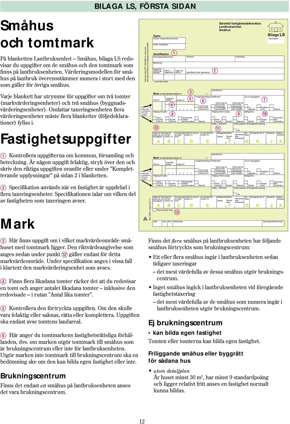 Varje blankett har utrymme för uppgifter om två tomter (markvärderingsenheter) och två småhus (byggnadsvärderingsenheter).