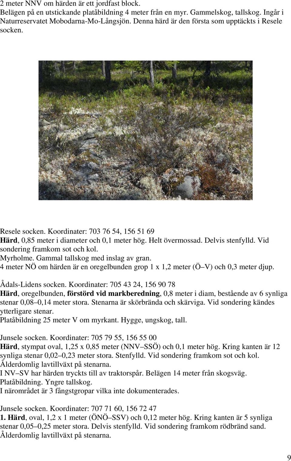 Vid sondering framkom sot och kol. Myrholme. Gammal tallskog med inslag av gran. 4 meter NÖ om härden är en oregelbunden grop 1 x 1,2 meter (Ö V) och 0,3 meter djup. Ådals-Lidens socken.