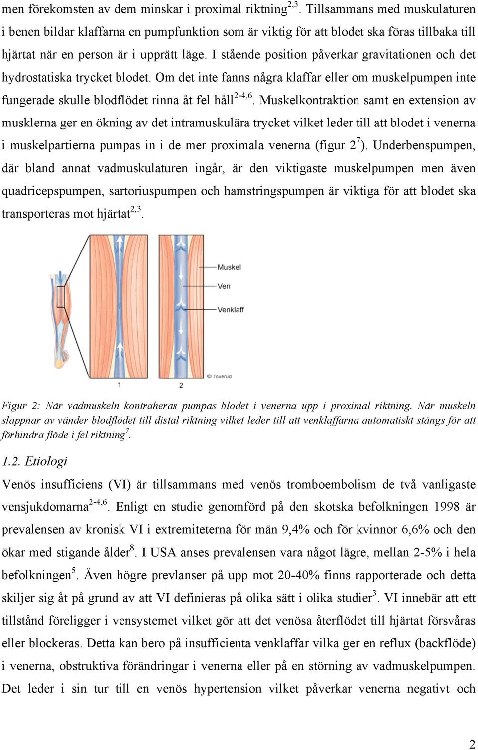 I stående position påverkar gravitationen och det hydrostatiska trycket blodet. Om det inte fanns några klaffar eller om muskelpumpen inte fungerade skulle blodflödet rinna åt fel håll 2-4,6.