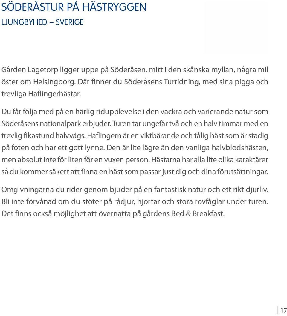 Turen tar ungefär två och en halv timmar med en trevlig fikastund halvvägs. Haflingern är en viktbärande och tålig häst som är stadig på foten och har ett gott lynne.