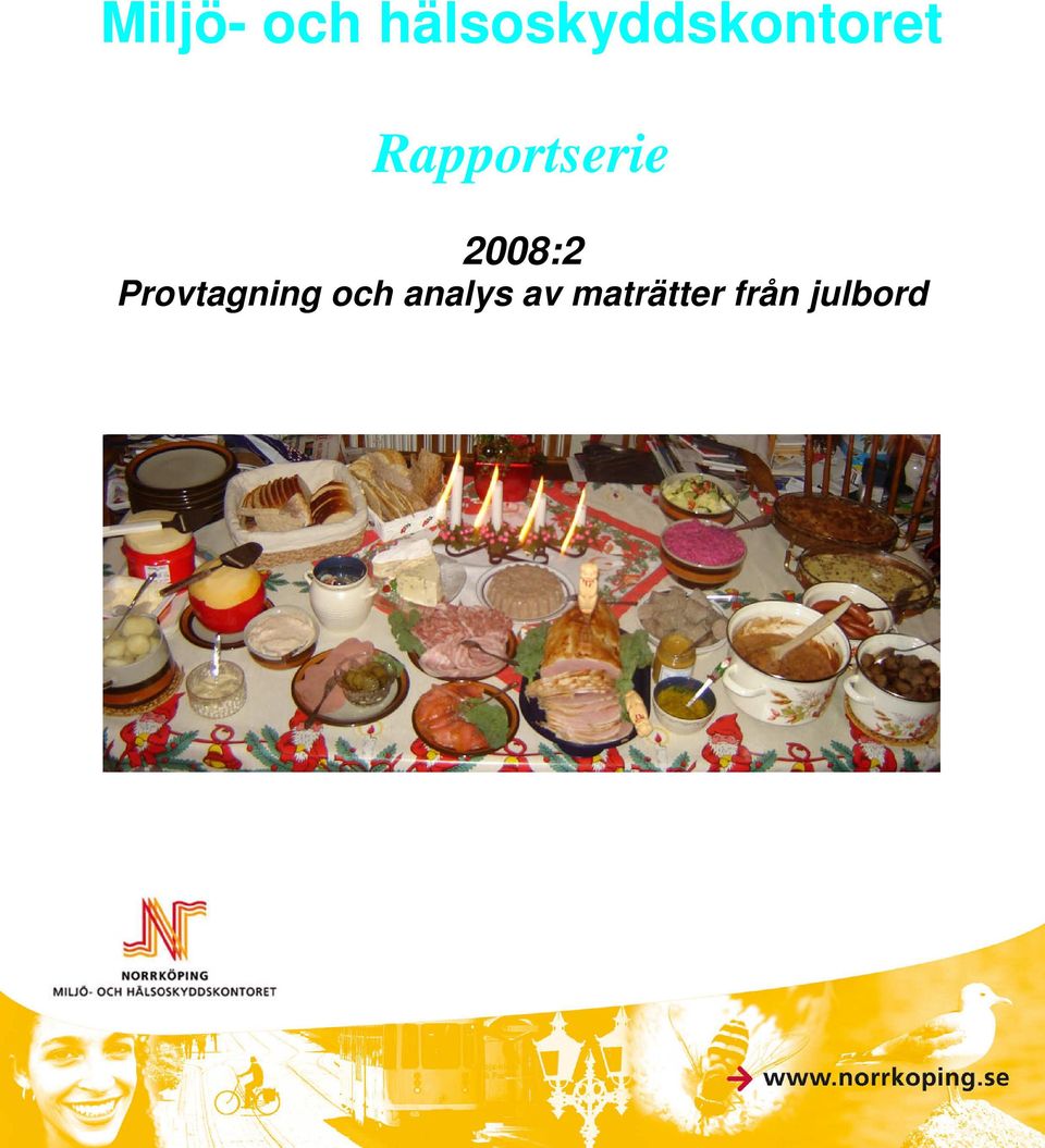 Rapportserie 2008:2