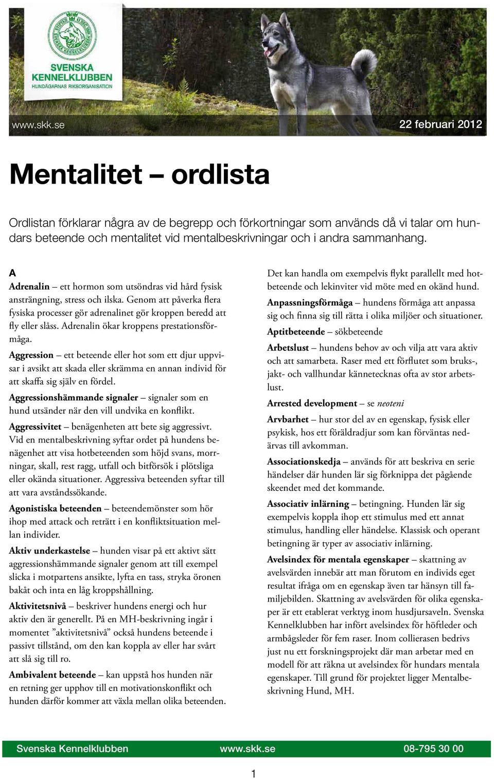 sammanhang. A Adrenalin ett hormon som utsöndras vid hård fysisk ansträngning, stress och ilska. Genom att påverka flera fysiska processer gör adrenalinet gör kroppen beredd att fly eller slåss.