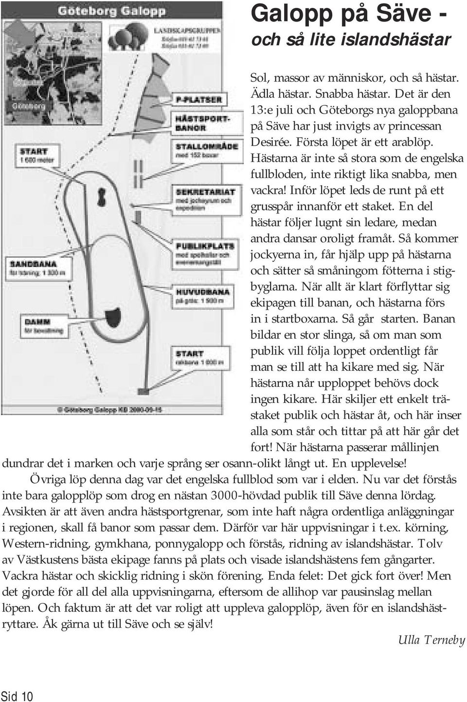 Hästarna är inte så stora som de engelska fullbloden, inte riktigt lika snabba, men vackra! Inför löpet leds de runt på ett grusspår innanför ett staket.