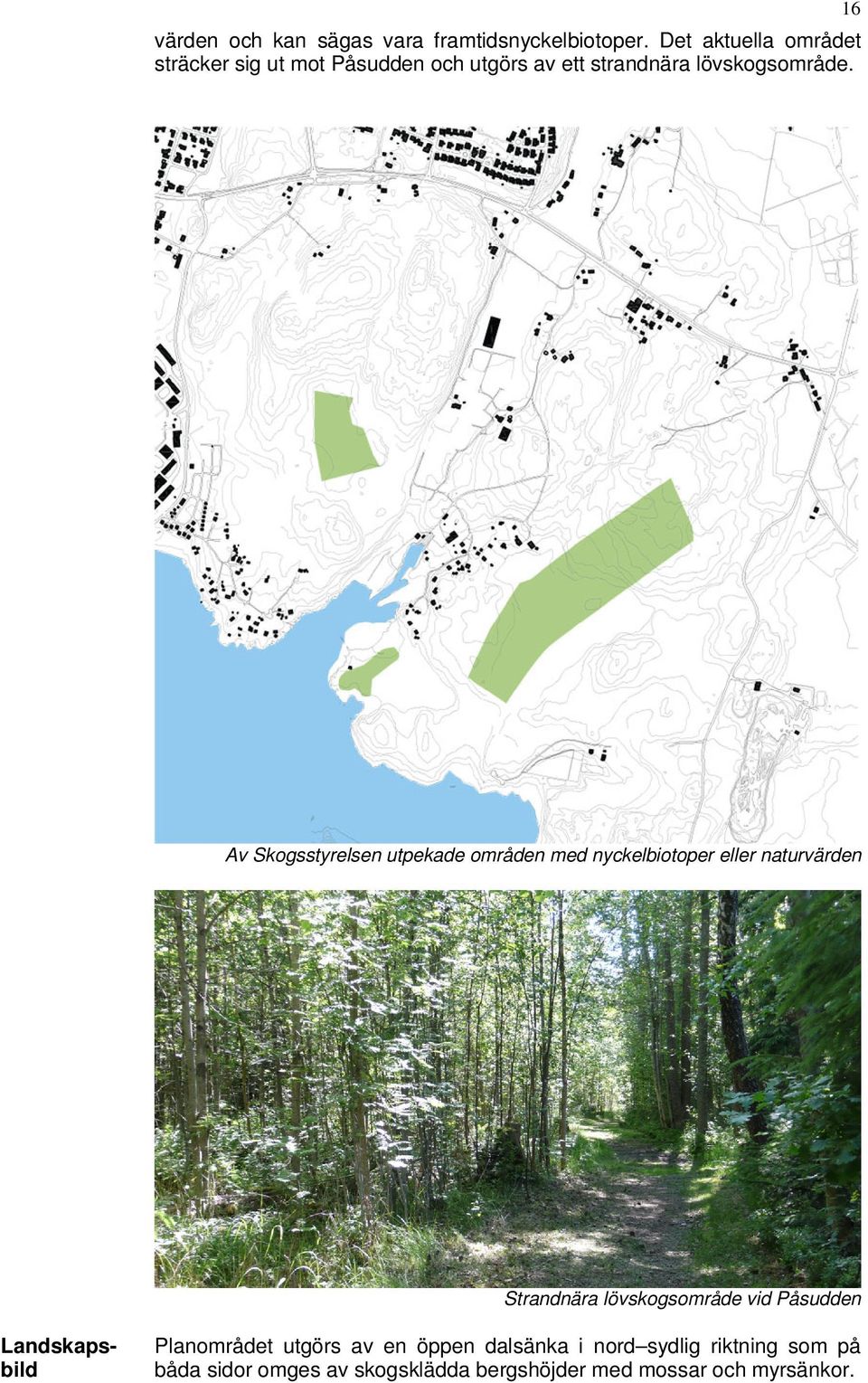 16 Av Skogsstyrelsen utpekade områden med nyckelbiotoper eller naturvärden Strandnära lövskogsområde