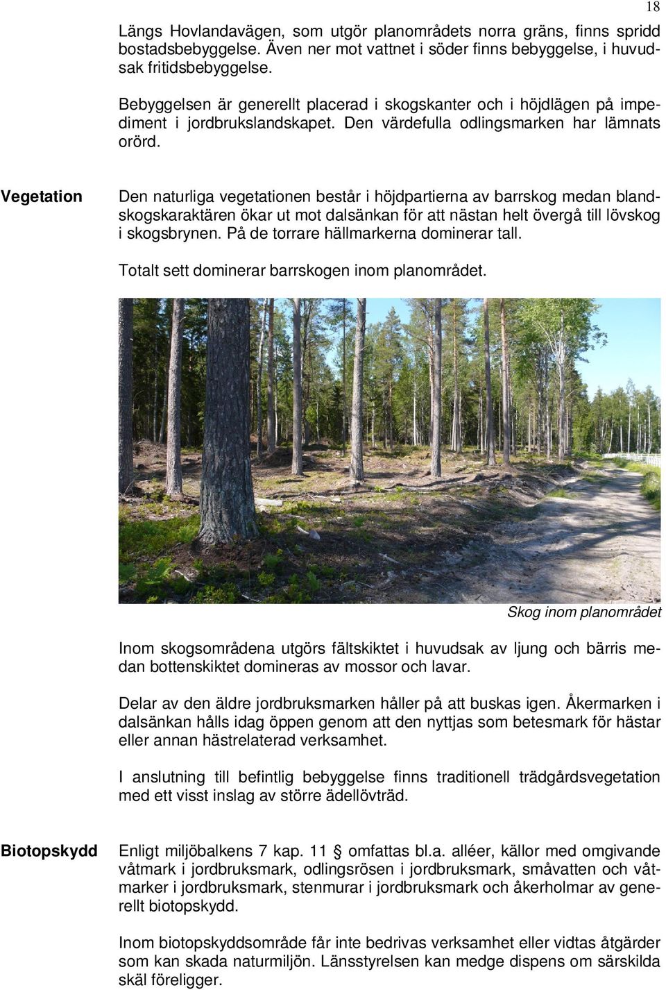 18 Vegetation Den naturliga vegetationen består i höjdpartierna av barrskog medan blandskogskaraktären ökar ut mot dalsänkan för att nästan helt övergå till lövskog i skogsbrynen.