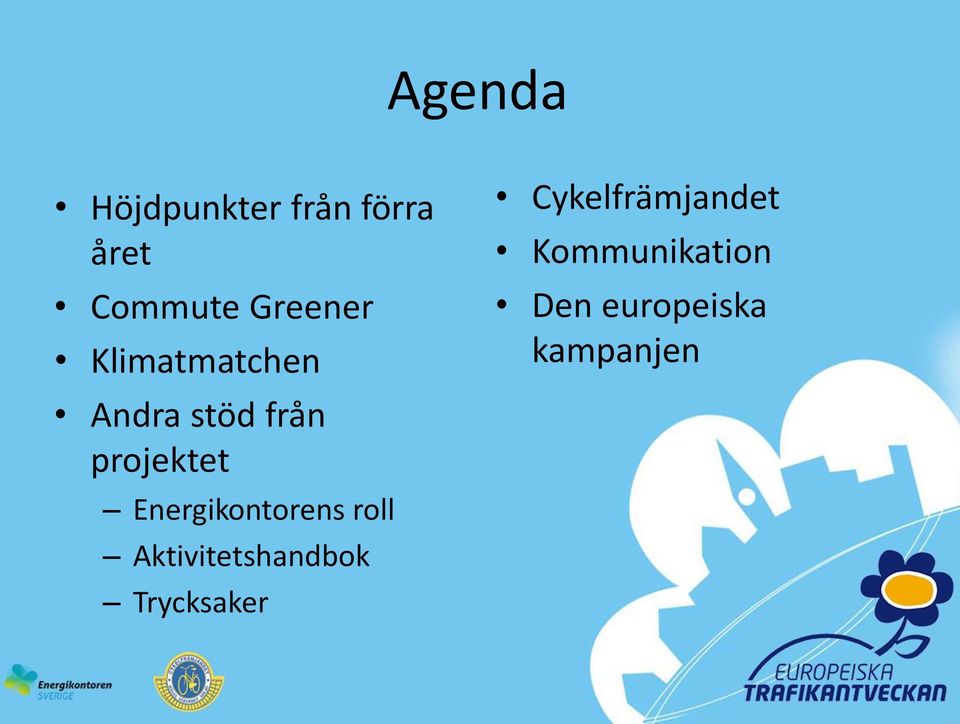 Energikontorens roll Aktivitetshandbok