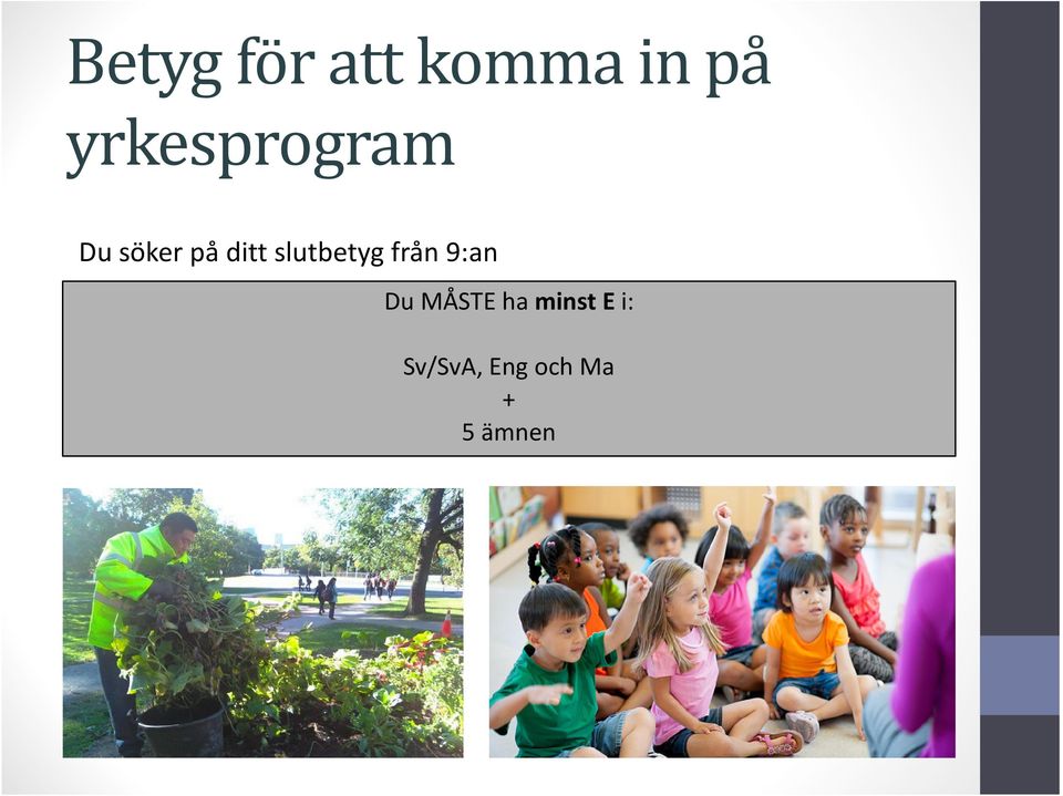 slutbetyg från 9:an t Du MÅSTE