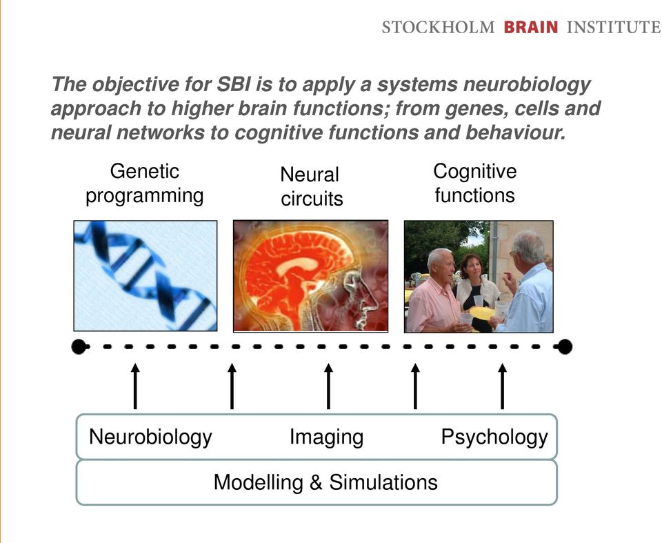 cognitive functions and behaviour.