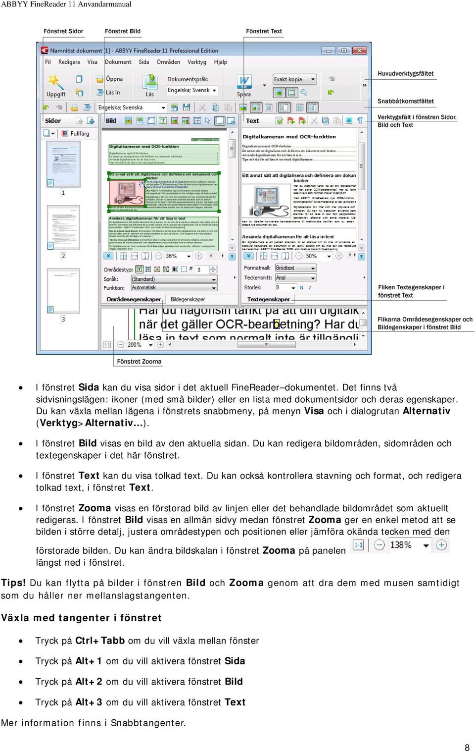 Du kan redigera bildområden, sidområden och textegenskaper i det här fönstret. I fönstret Text kan du visa tolkad text.