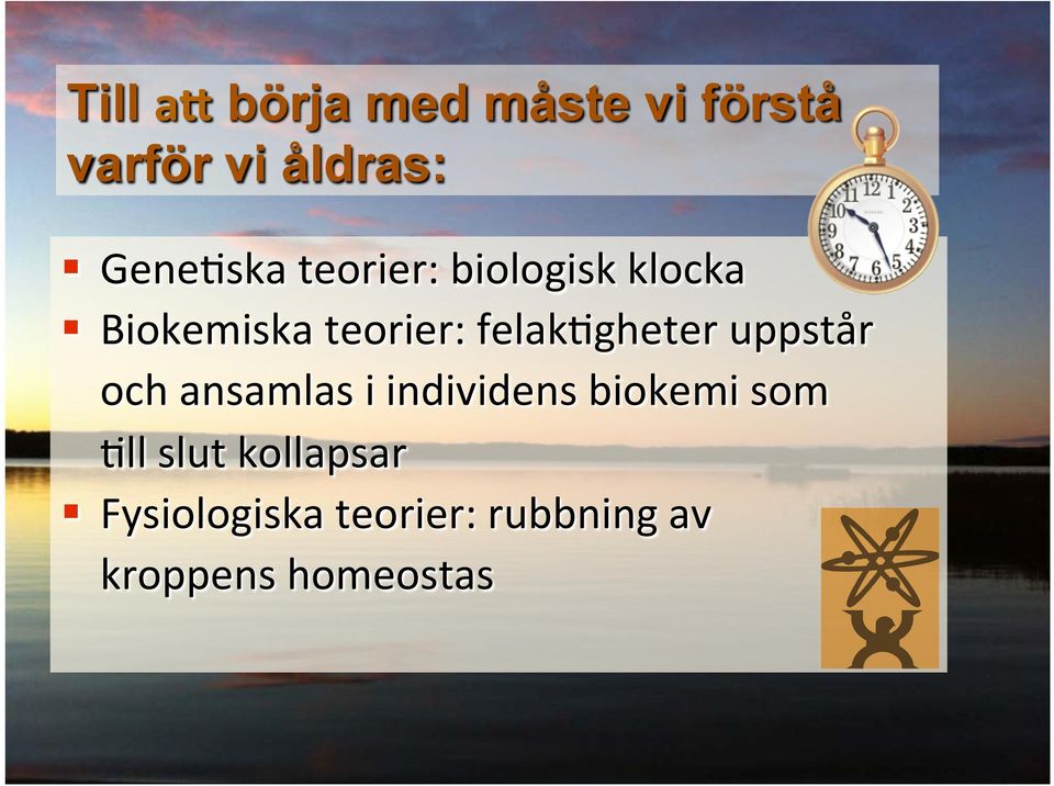 gheter uppstår och ansamlas i individens biokemi som ll