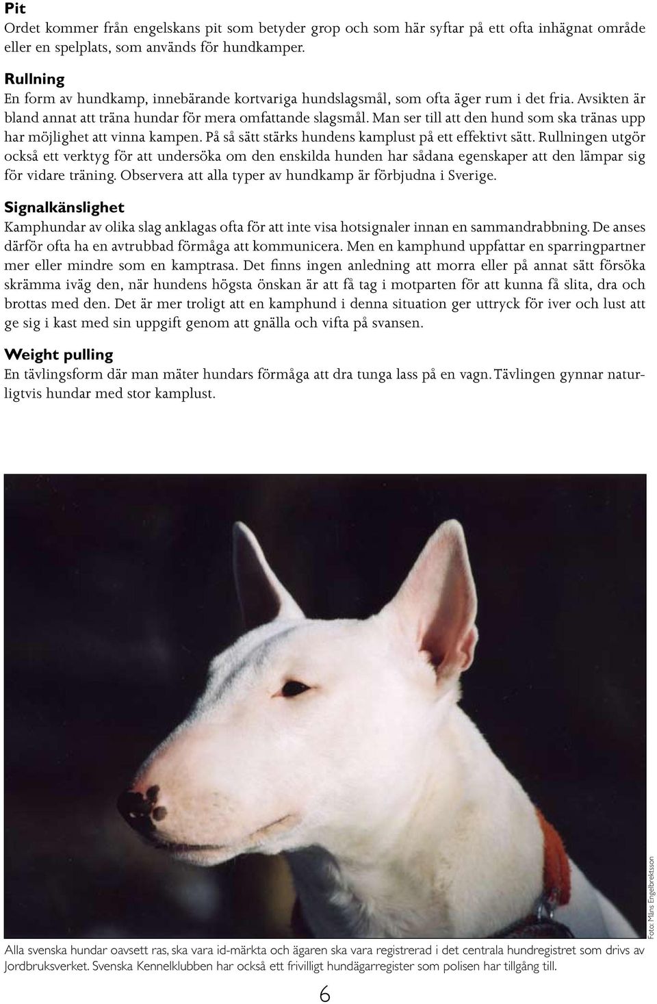 Man ser till att den hund som ska tränas upp har möjlighet att vinna kampen. På så sätt stärks hundens kamplust på ett effektivt sätt.