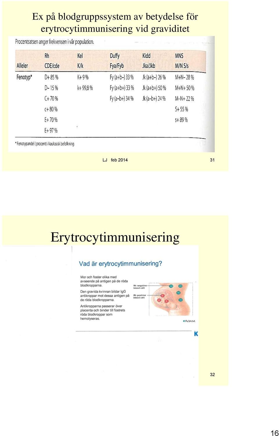 erytrocytimmunisering vid