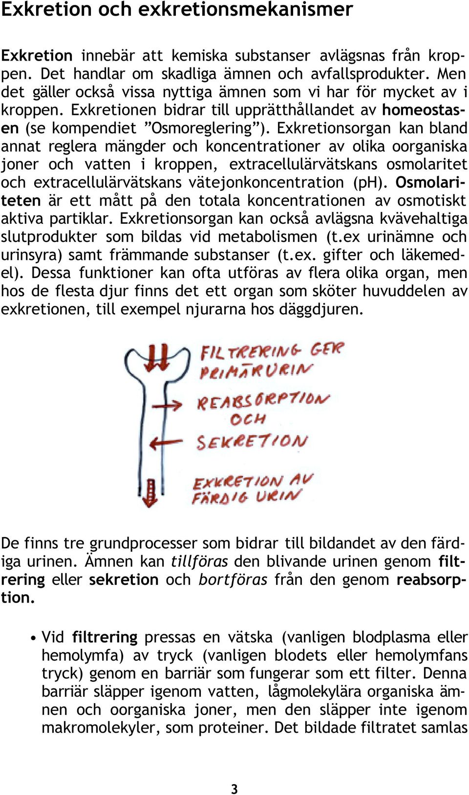 Exkretionsorgan kan bland annat reglera mängder och koncentrationer av olika oorganiska joner och vatten i kroppen, extracellulärvätskans osmolaritet och extracellulärvätskans vätejonkoncentration