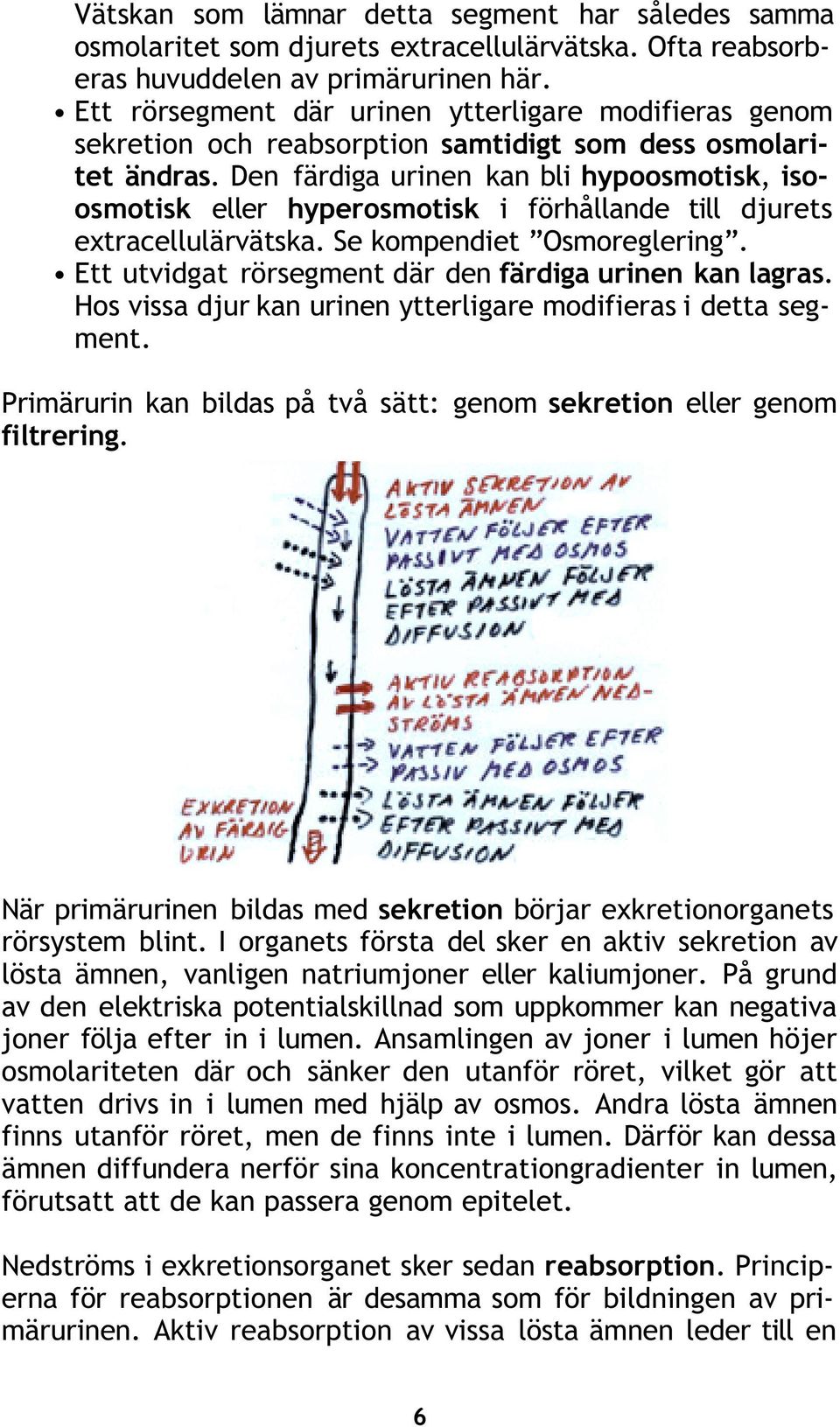 Den färdiga urinen kan bli hypoosmotisk, isoosmotisk eller hyperosmotisk i förhållande till djurets extracellulärvätska. Se kompendiet Osmoreglering.