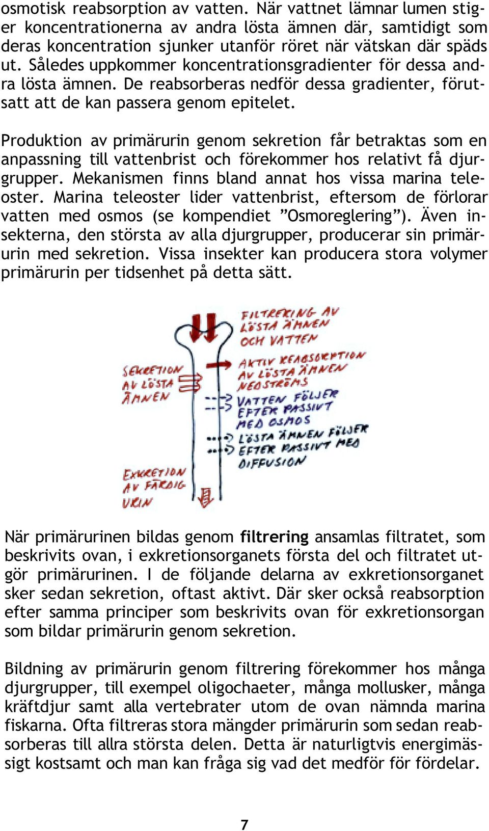 Produktion av primärurin genom sekretion får betraktas som en anpassning till vattenbrist och förekommer hos relativt få djurgrupper. Mekanismen finns bland annat hos vissa marina teleoster.