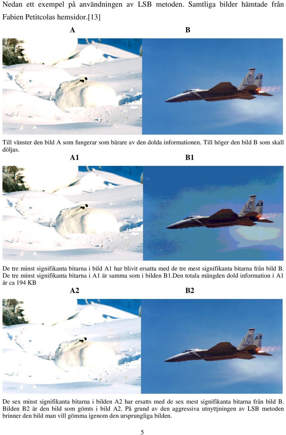 A1 B1 De tre minst signifikanta bitarna i bild A1 har blivit ersatta med de tre mest signifikanta bitarna från bild B. De tre minst signifikanta bitarna i A1 är samma som i bilden B1.