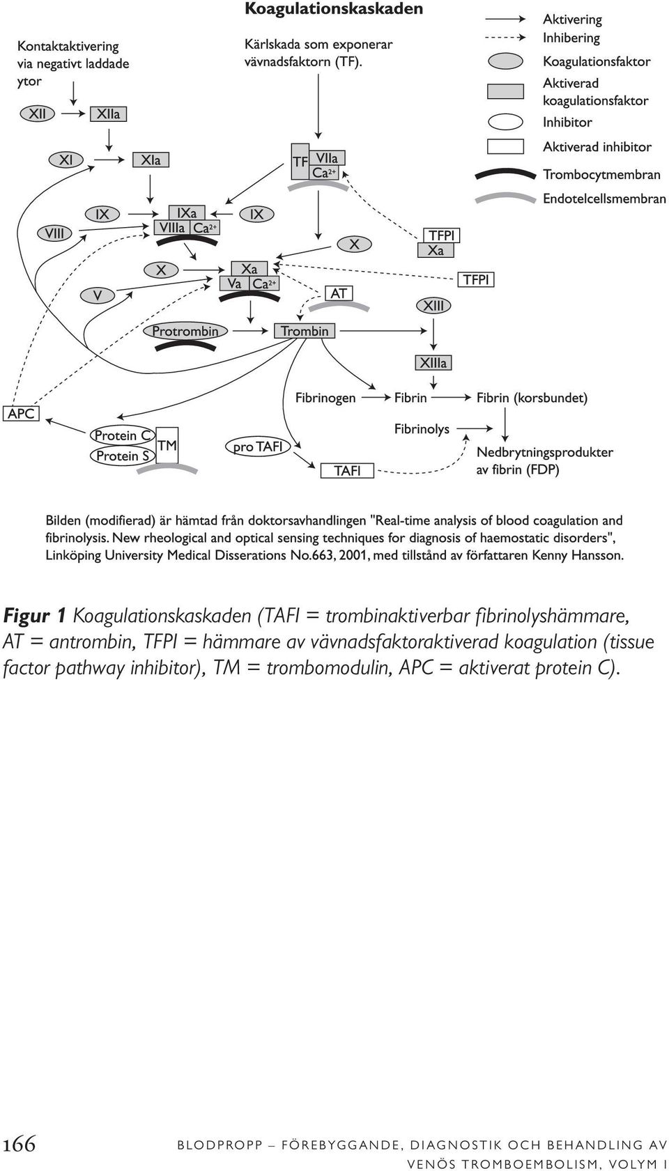 factor pathway inhibitor), TM = trombomodulin, APC = aktiverat protein C).