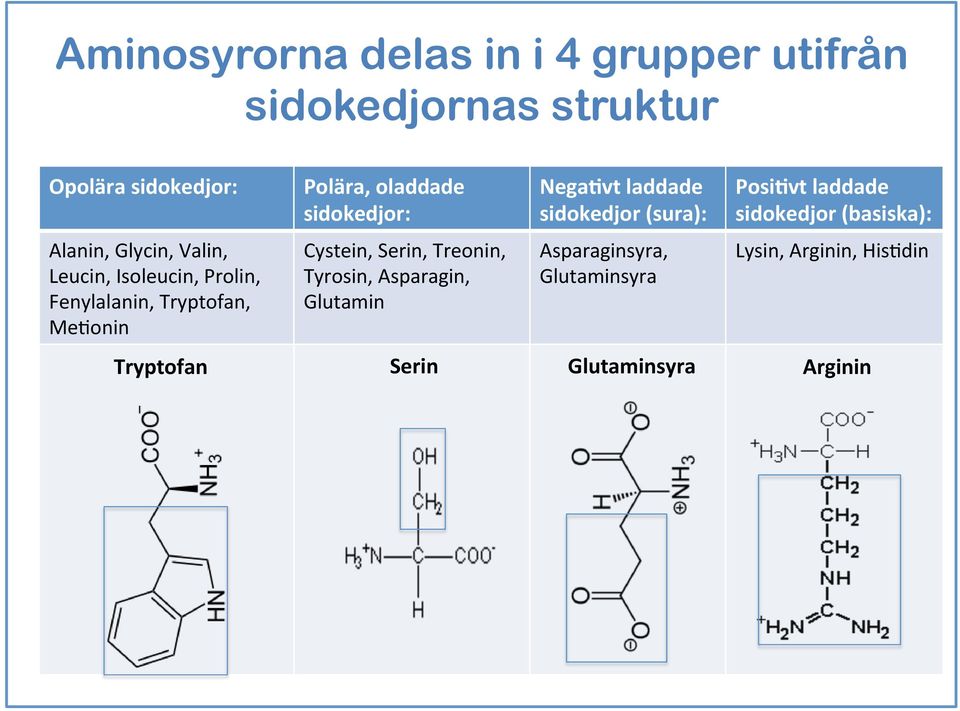 Cystein, Serin, Treonin, Tyrosin, Asparagin, Glutamin Nega5vt laddade sidokedjor (sura):