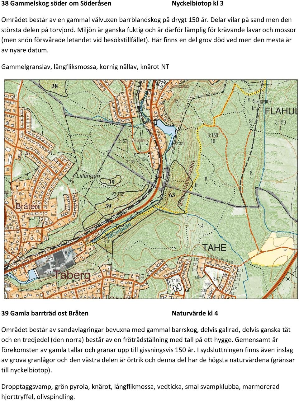 Gammelgranslav, långfliksmossa, kornig nållav, knärot NT 39 Gamla barrträd ost Bråten Naturvärde kl 4 Området består av sandavlagringar bevuxna med gammal barrskog, delvis gallrad, delvis ganska tät