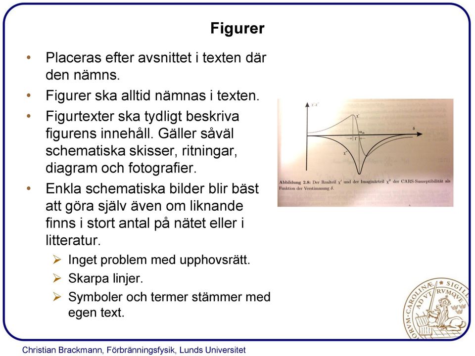 Gäller såväl schematiska skisser, ritningar, diagram och fotografier.