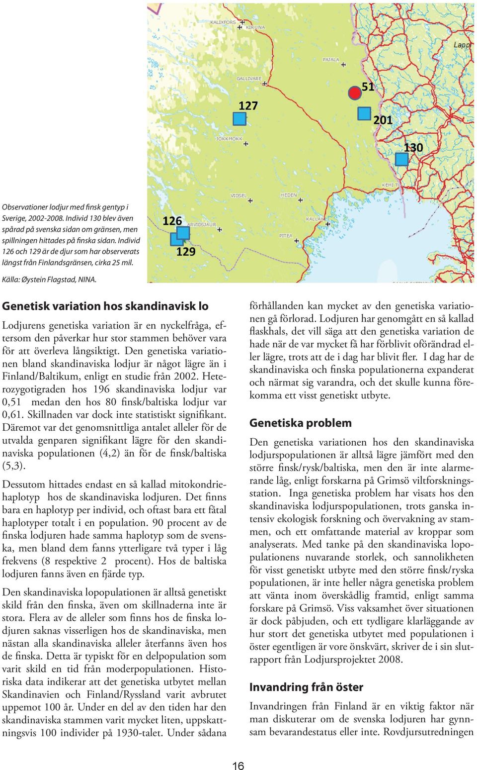 Genetisk variation hos skandinavisk lo Lodjurens genetiska variation är en nyckelfråga, eftersom den påverkar hur stor stammen behöver vara för att överleva långsiktigt.