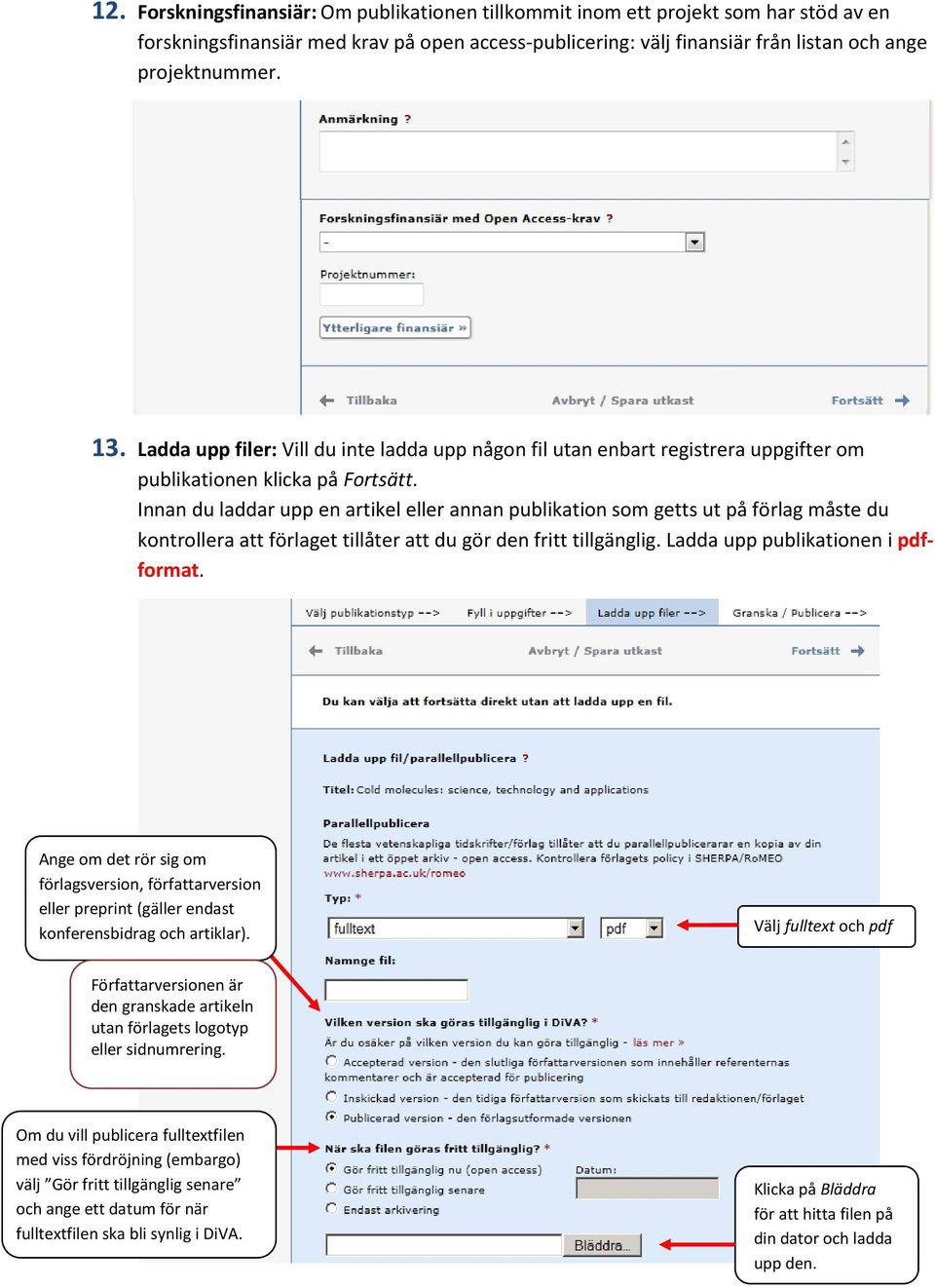 Innan du laddar upp en artikel eller annan publikation som getts ut på förlag måste du kontrollera att förlaget tillåter att du gör den fritt tillgänglig. Ladda upp publikationen i pdfformat.