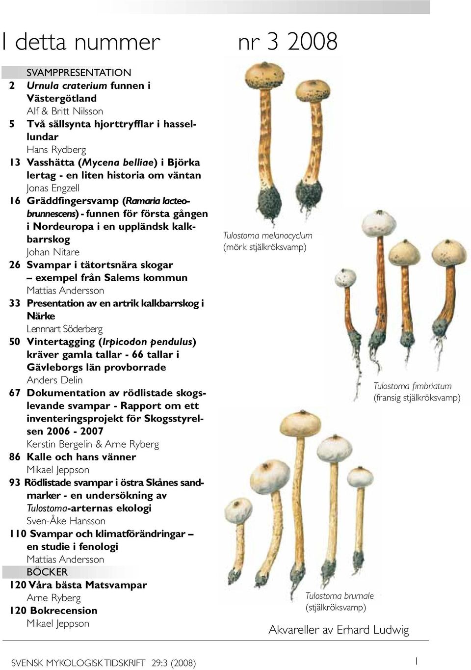 tätortsnära skogar exempel från Salems kommun Mattias Andersson 33 Presentation av en artrik kalkbarrskog i Närke Lennnart Söderberg 50 Vintertagging (Irpicodon pendulus) kräver gamla tallar - 66