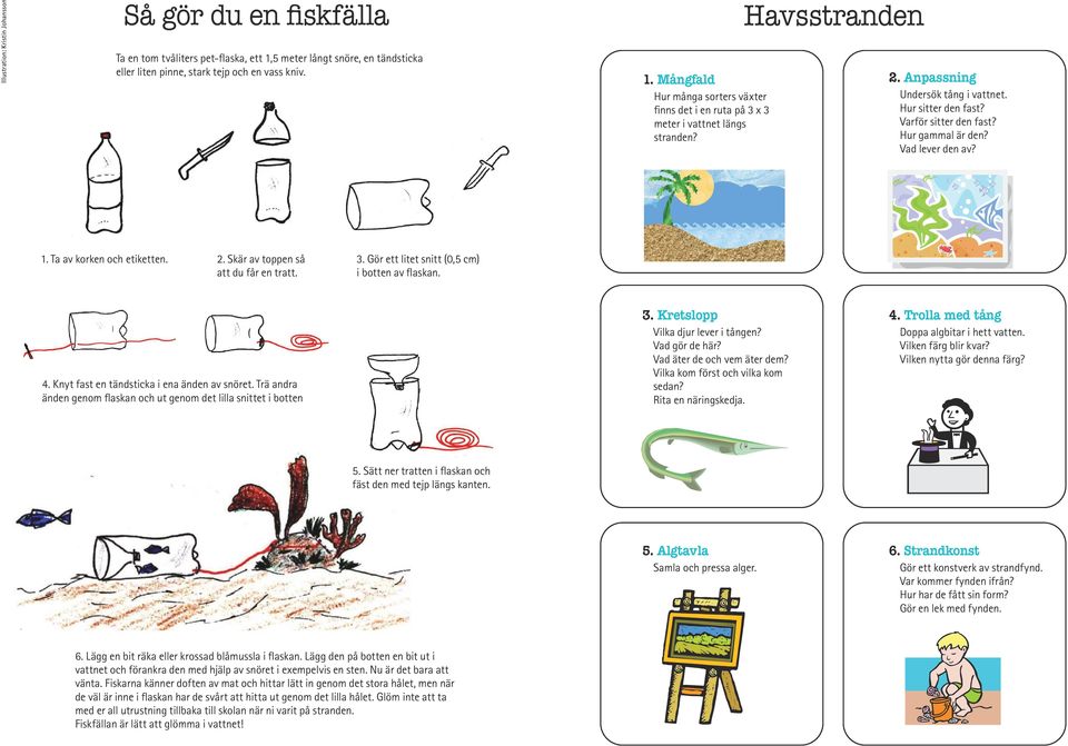 Mångfald Hur många sorters växter finns i Hur många sorters växter en ruta finns på 3x3 det i meter en ruta på i vattnet 3 x 3 längs stranden? meter i vattnet längs stranden? Havsstranden 2.