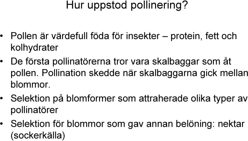 pollinatörerna tror vara skalbaggar som åt pollen.