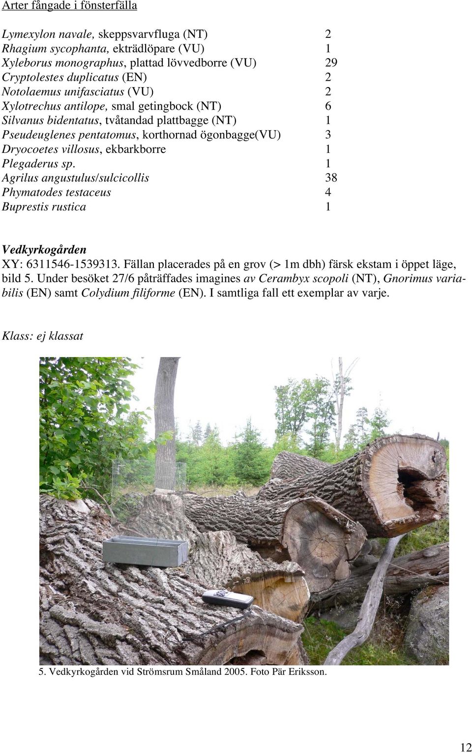 ekbarkborre 1 Plegaderus sp. 1 Agrilus angustulus/sulcicollis 38 Phymatodes testaceus 4 Buprestis rustica 1 Vedkyrkogården XY: 6311546-1539313.