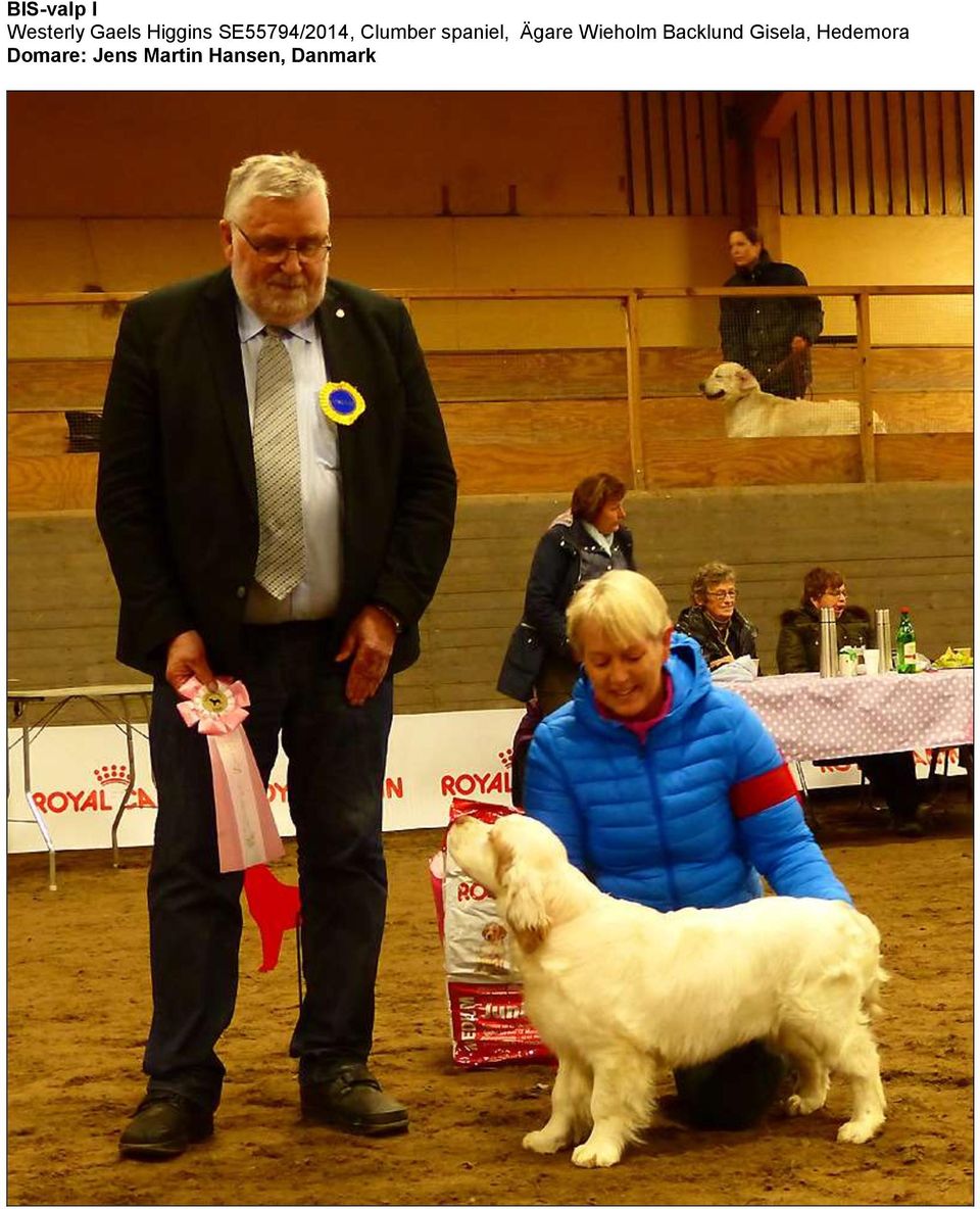 Ägare Wieholm Backlund Gisela,