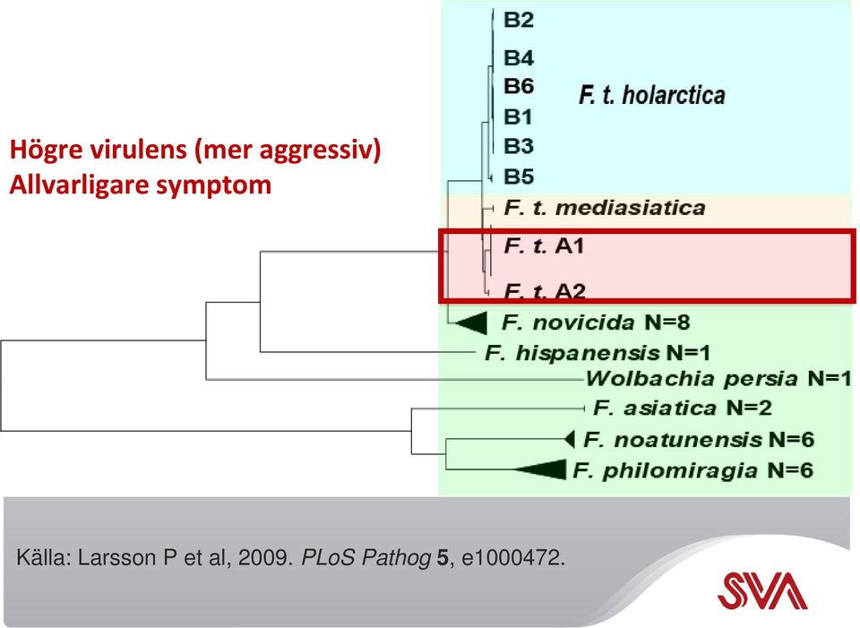 symptom Källa: Larsson P