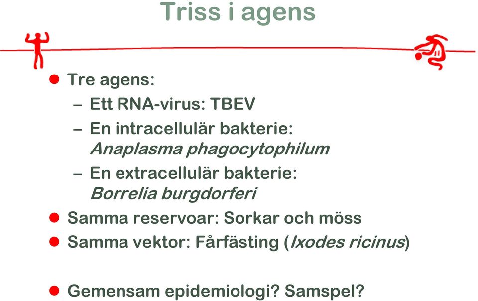 Borrelia burgdorferi Samma reservoar: Sorkar och möss Samma