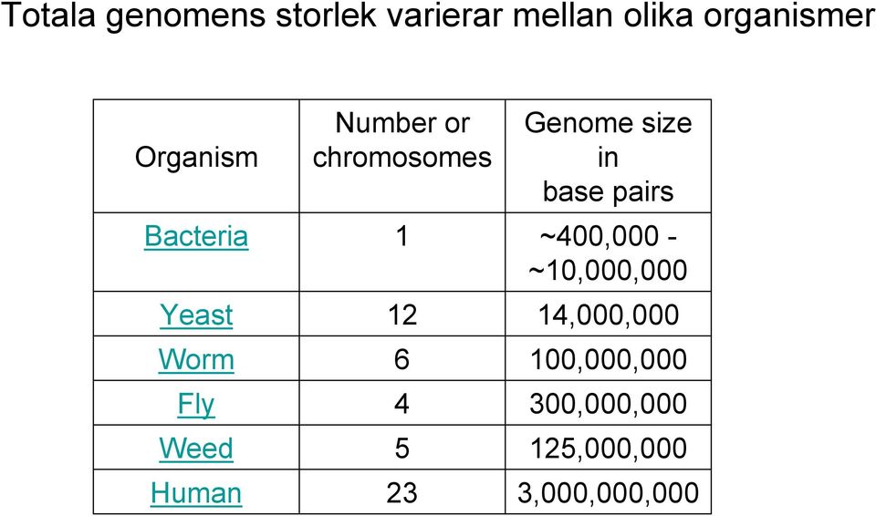 chromosomes 1 12 6 4 5 23 Genome size in base pairs ~400,000