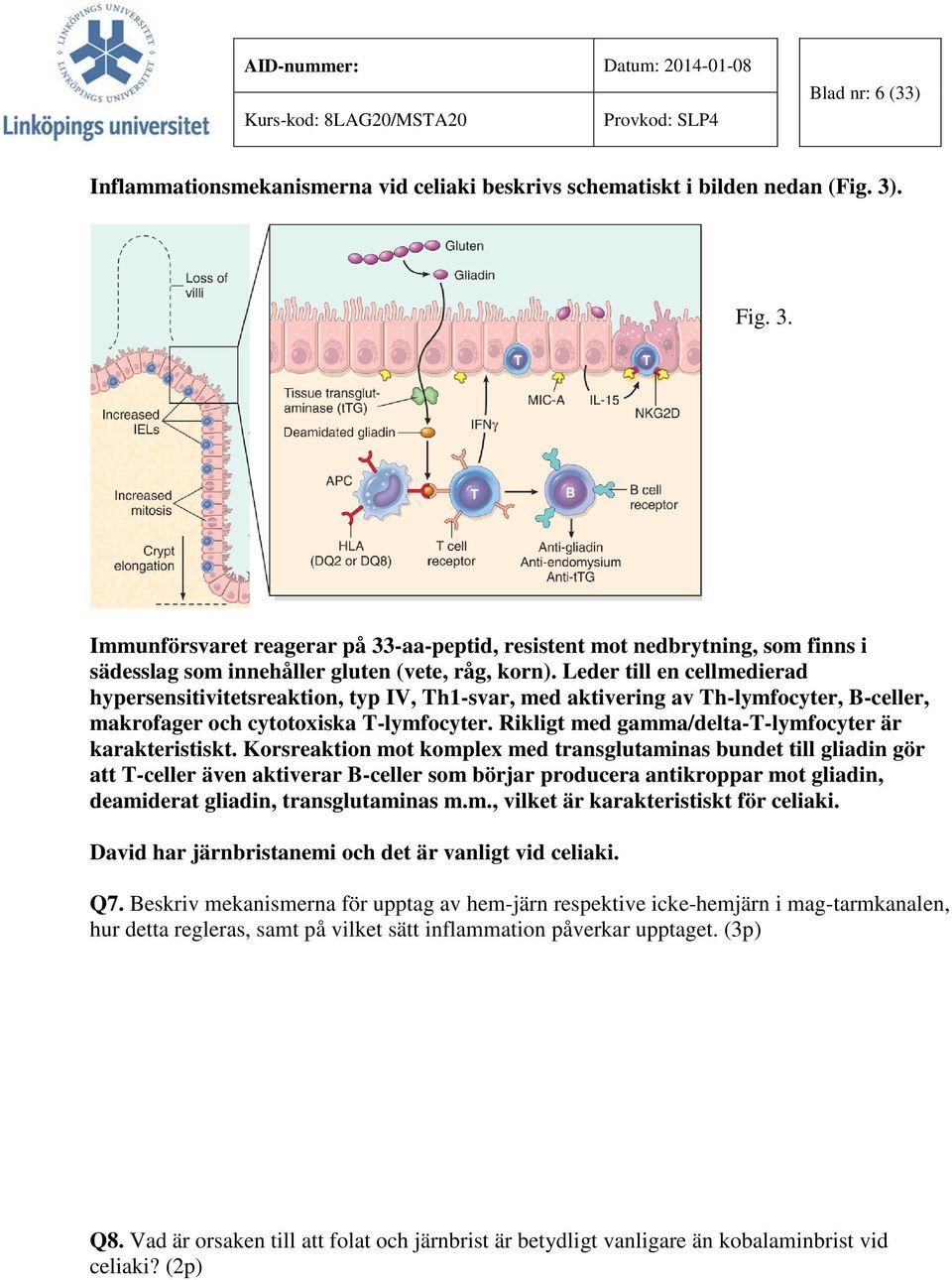 Leder till en cellmedierad hypersensitivitetsreaktion, typ IV, Th1-svar, med aktivering av Th-lymfocyter, B-celler, makrofager och cytotoxiska T-lymfocyter.