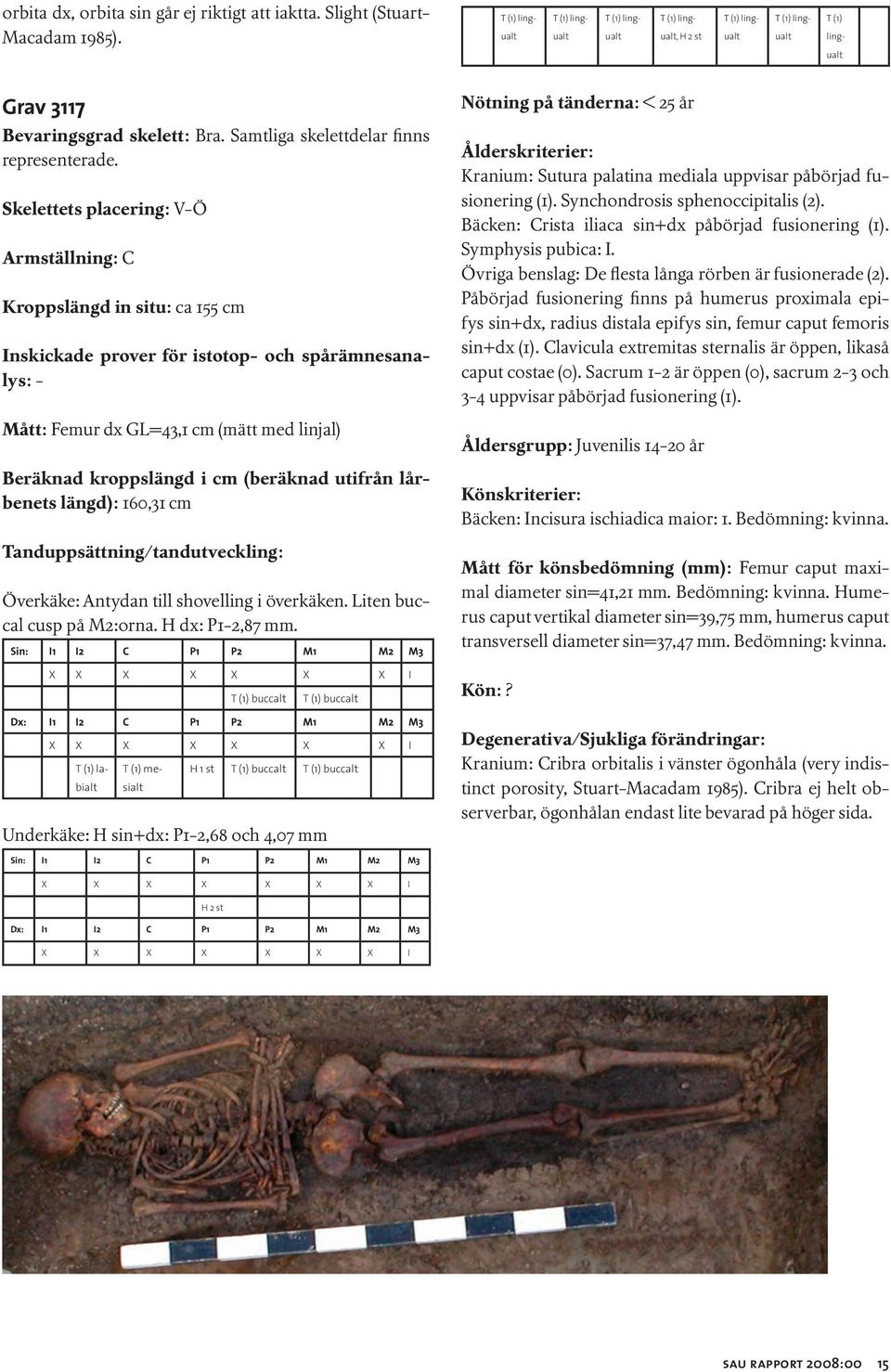 Armställning: C Kroppslängd in situ: ca 155 cm - Mått: Femur dx GL=43,1 cm (mätt med linjal) Beräknad kroppslängd i cm (beräknad utifrån lårbenets längd): 160,31 cm Överkäke: Antydan till shovelling