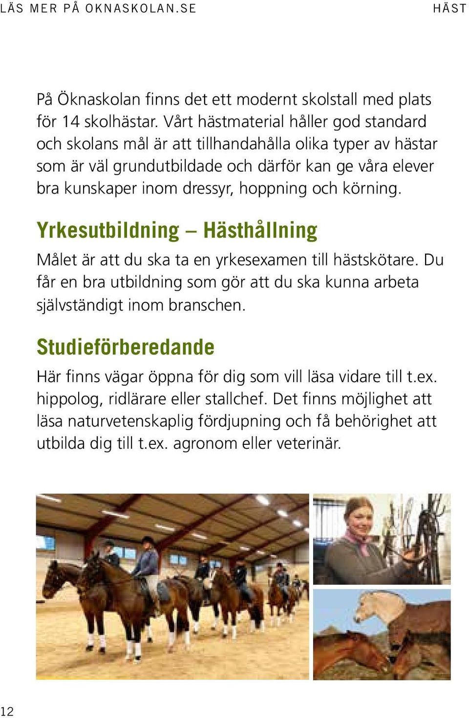 hoppning och körning. Yrkesutbildning Hästhållning Målet är att du ska ta en yrkesexamen till hästskötare.