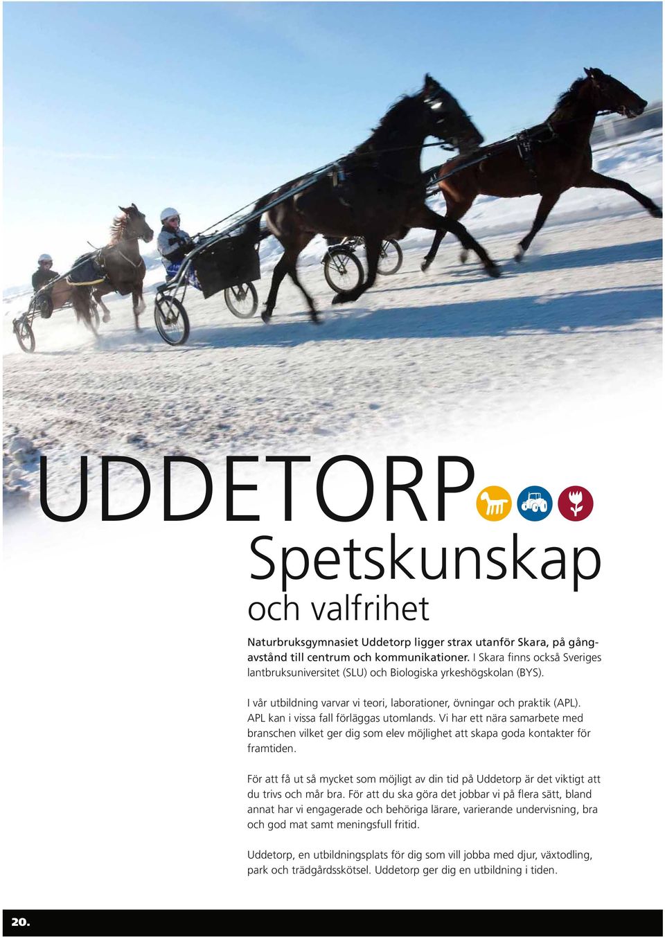 APL kan i vissa fall förläggas utomlands. Vi har ett nära samarbete med branschen vilket ger dig som elev möjlighet att skapa goda kontakter för framtiden.