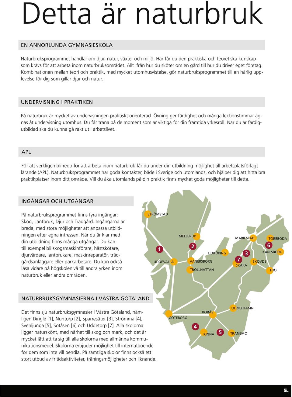 Kombinationen mellan teori och praktik, med mycket utomhusvistelse, gör naturbruksprogrammet till en härlig upplevelse för dig som gillar djur och natur.