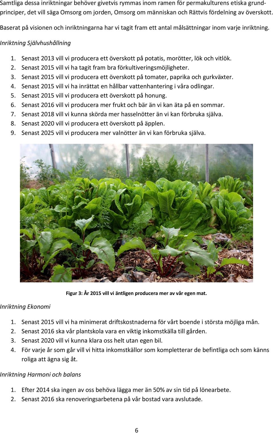 Senast 2013 vill vi producera ett överskott på potatis, morötter, lök och vitlök. 2. Senast 2015 vill vi ha tagit fram bra förkultiveringsmöjligheter. 3.