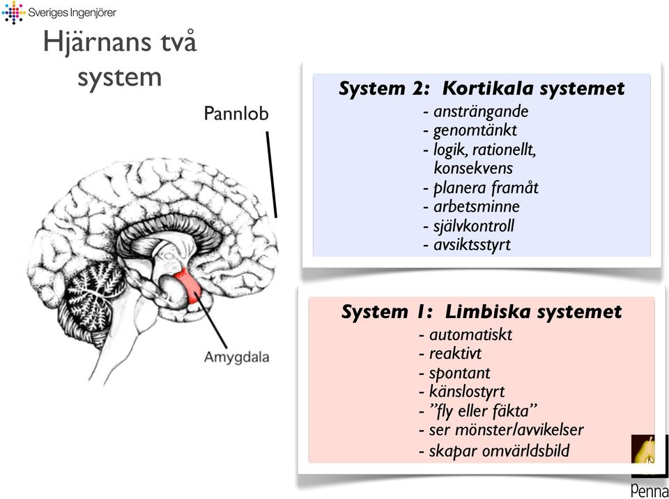 självkontroll - avsiktsstyrt System 1: Limbiska systemet - automatiskt -