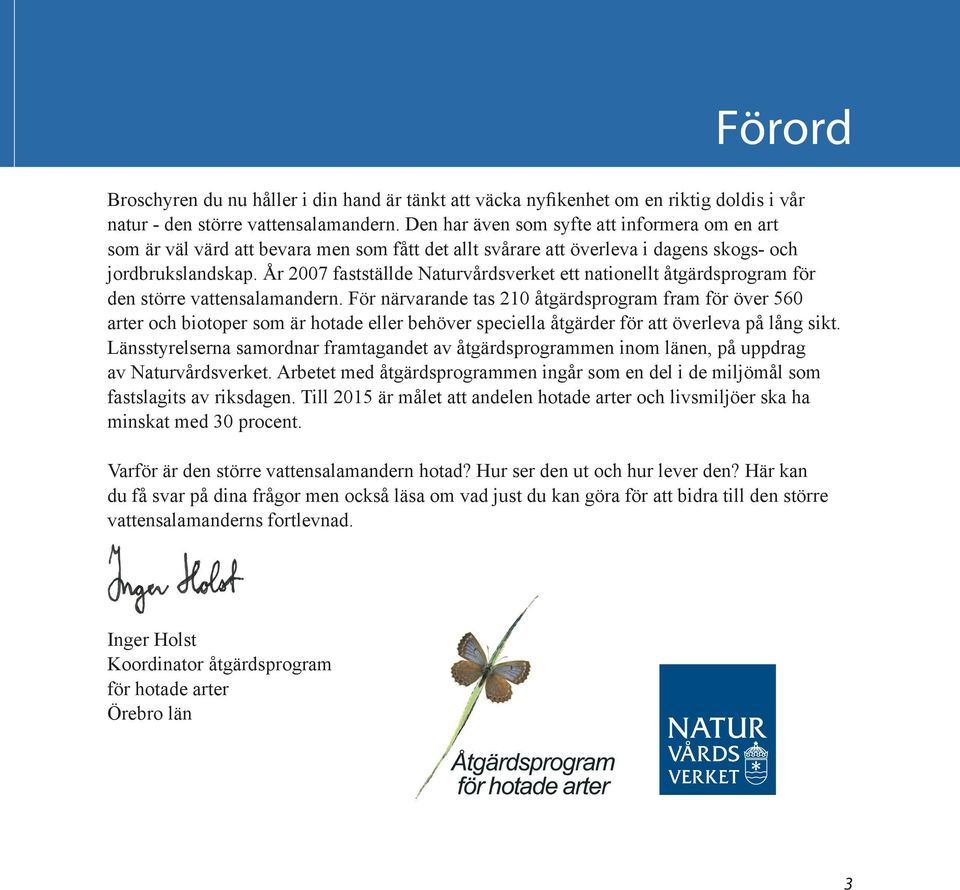 År 2007 fastställde Naturvårdsverket ett nationellt åtgärdsprogram för den större vattensalamandern.