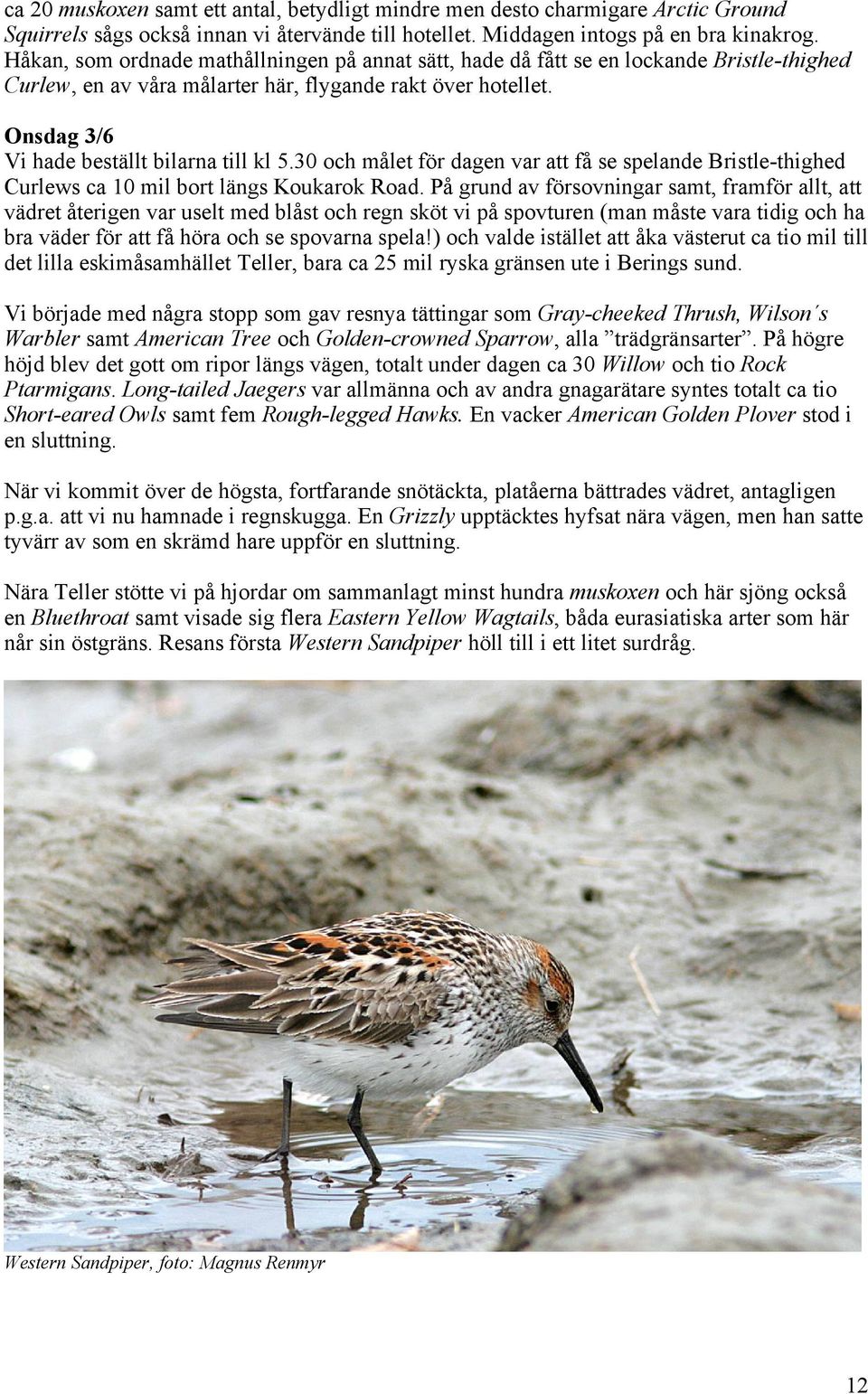 30 och målet för dagen var att få se spelande Bristle-thighed Curlews ca 10 mil bort längs Koukarok Road.