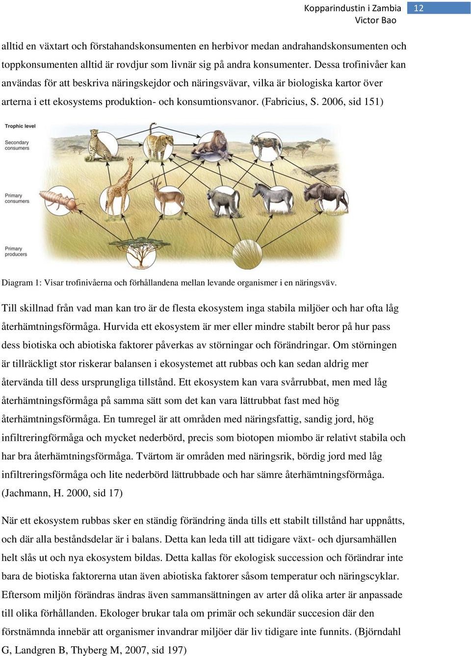 2006, sid 151) Diagram 1: Visar trofinivåerna och förhållandena mellan levande organismer i en näringsväv.