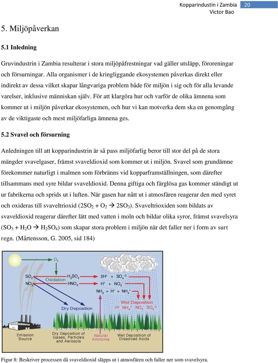 För att klargöra hur och varför de olika ämnena som kommer ut i miljön påverkar ekosystemen, och hur vi kan motverka dem ska en genomgång av de viktigaste och mest miljöfarliga ämnena ges. 5.